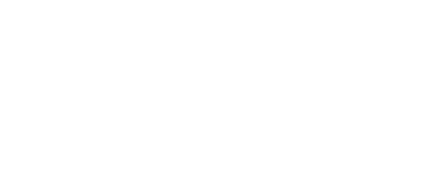 Single Wife logo