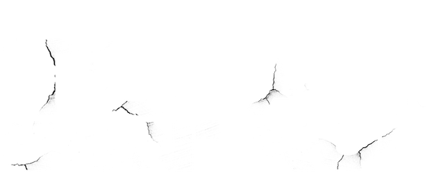 Total Control logo