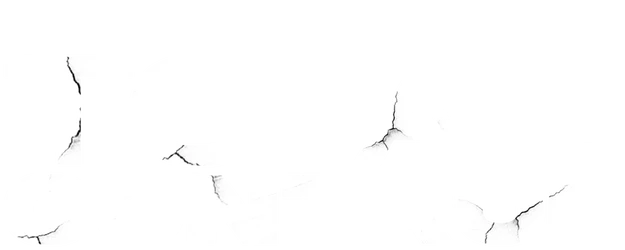 Total Control logo