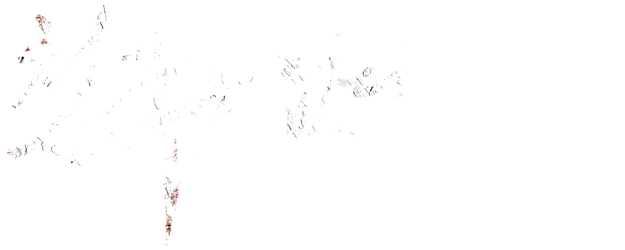 Paradise logo