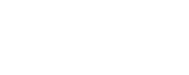 The Ultimate Accessory logo
