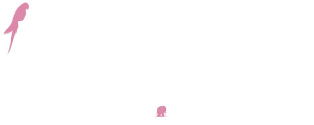 Love Never Ends logo