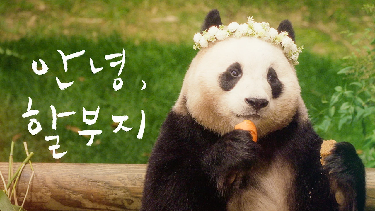 My Dearest Fu Bao