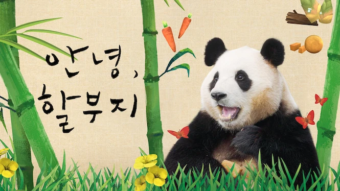 My Dearest Fu Bao