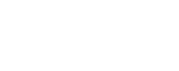 Homicide Squad: New Orleans logo