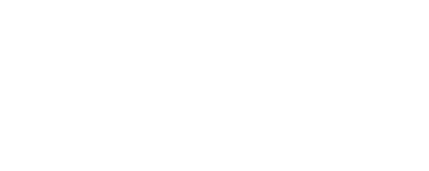Ladies in Black logo