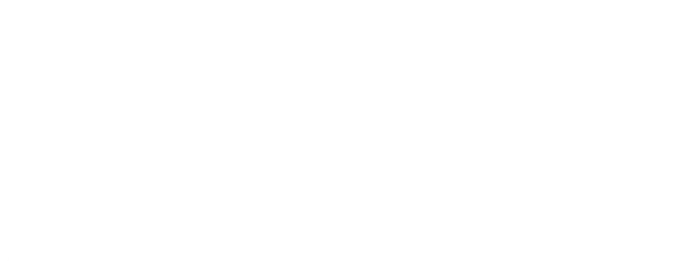 Ladies in Black logo