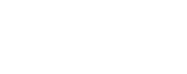 First Weapons logo