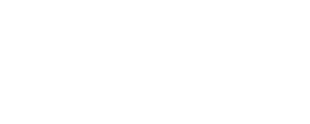 Togo logo
