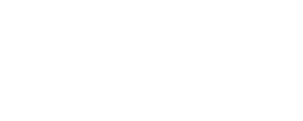 Reis logo