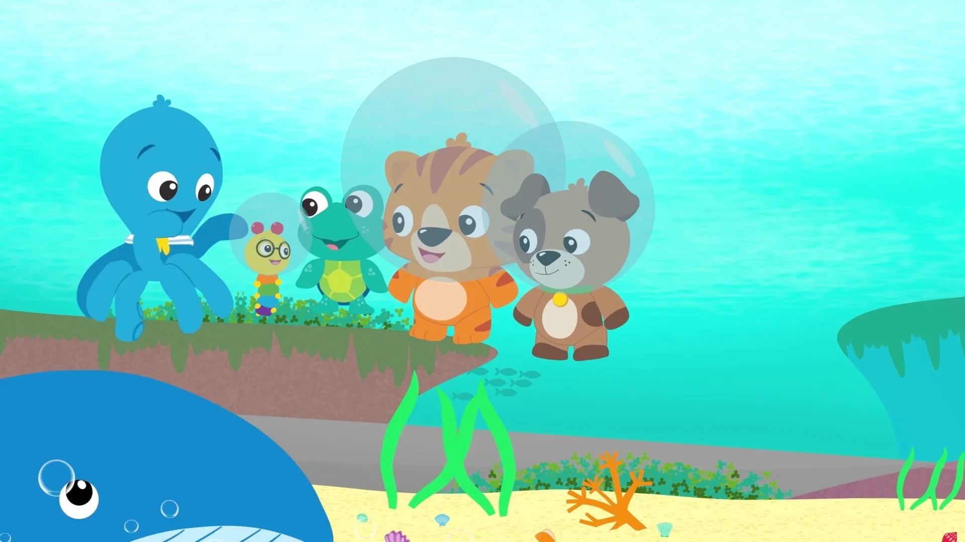 Baby Einstein Ocean Explorers