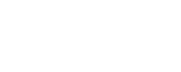The Secret of Birth logo