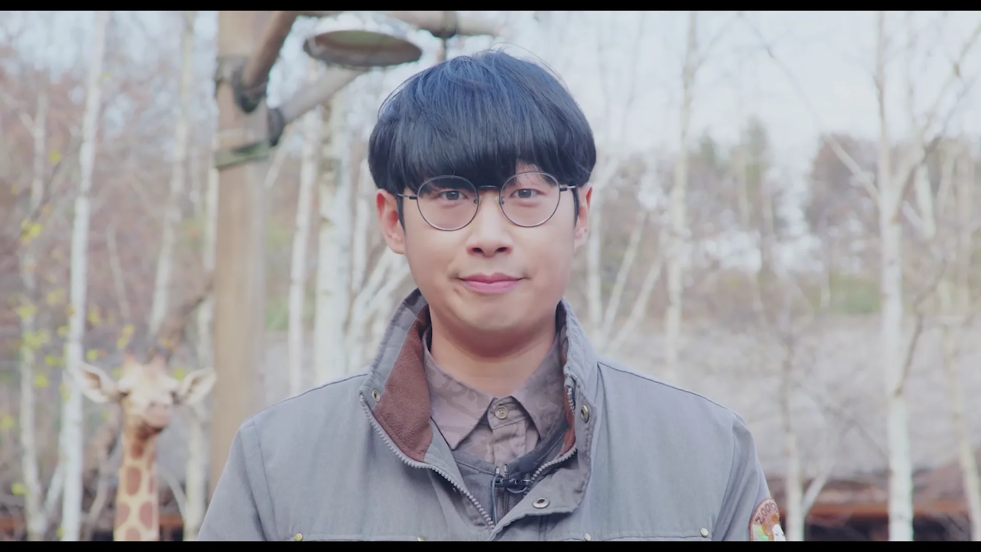 Jungbrre Animal Diary