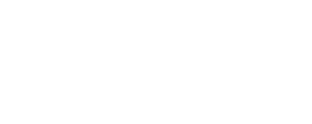Seiginoyukue logo