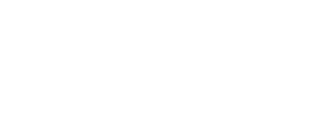 Seiginoyukue logo