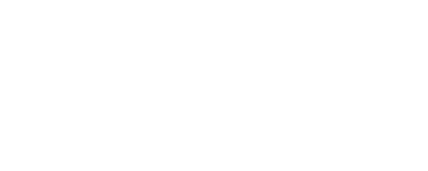 Wedding Impossible logo