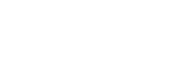 Maestro(s) logo