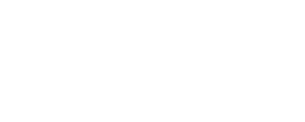 Tricky Old Dogs 2 logo