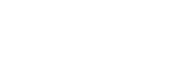 Bingo: The King of the Mornings logo