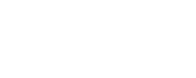 Bingo: The King of the Mornings logo