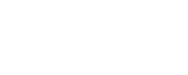 Die Ironie des Lebens logo