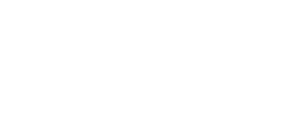 Fanatic logo