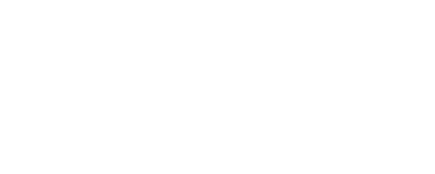 Fanatic logo