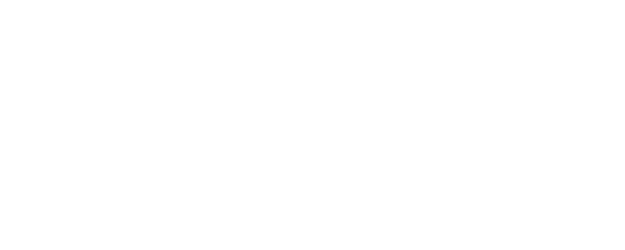 Very Ordinary Couple logo