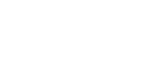 Bushido logo