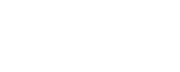 Hakkenden: Fiction and Reality logo