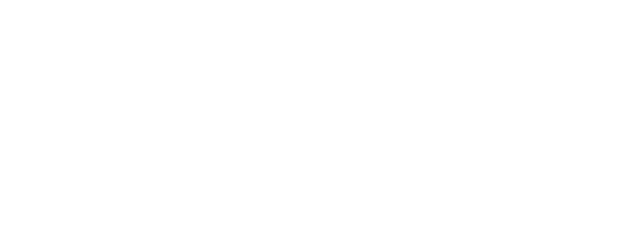 Hakkenden: Fiction and Reality logo
