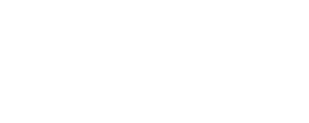 The Desperate Chase logo