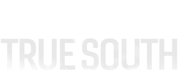 True South logo