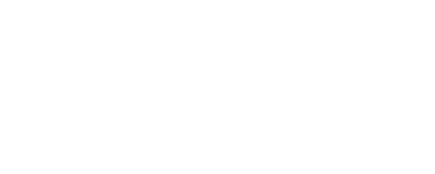 Project Y logo