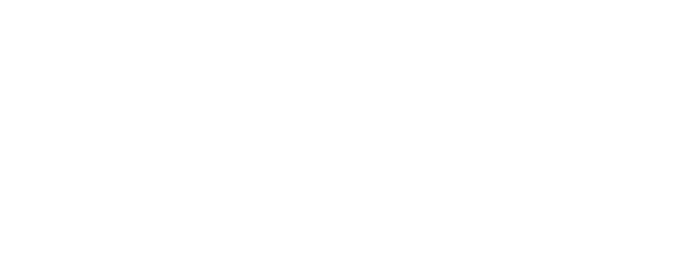 Project Y logo