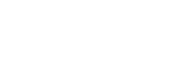 What Will You Do, Ieyasu? logo