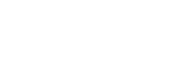 Borderline logo
