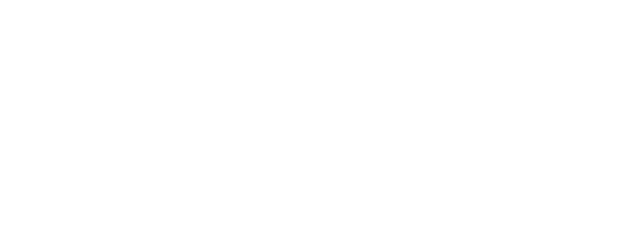Stella gemella logo