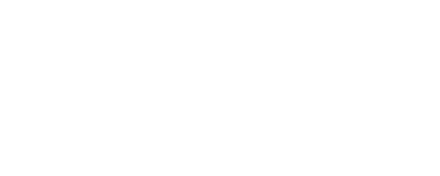 David logo