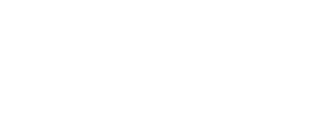 David logo