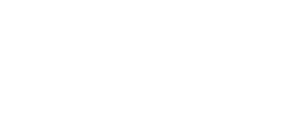 Angry Squad: Civil Servants & Seven Swindlers logo