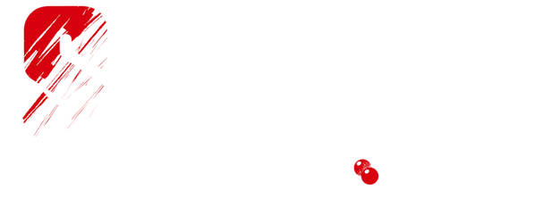 Sanda logo