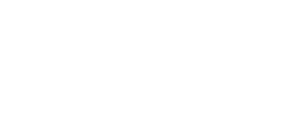 Lloyd of the Flies logo