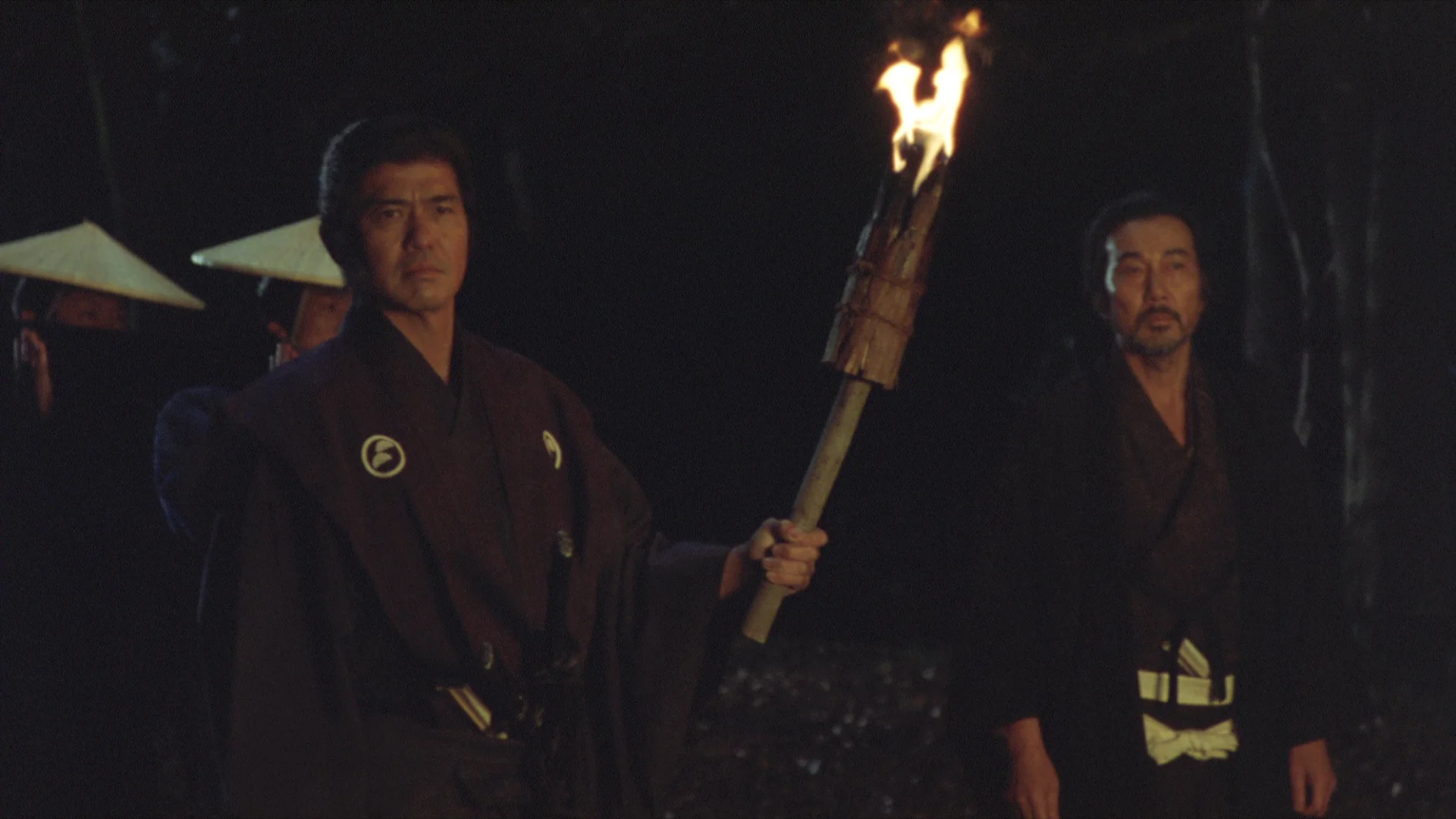 The Last Ronin