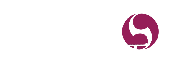 The Last Ronin logo