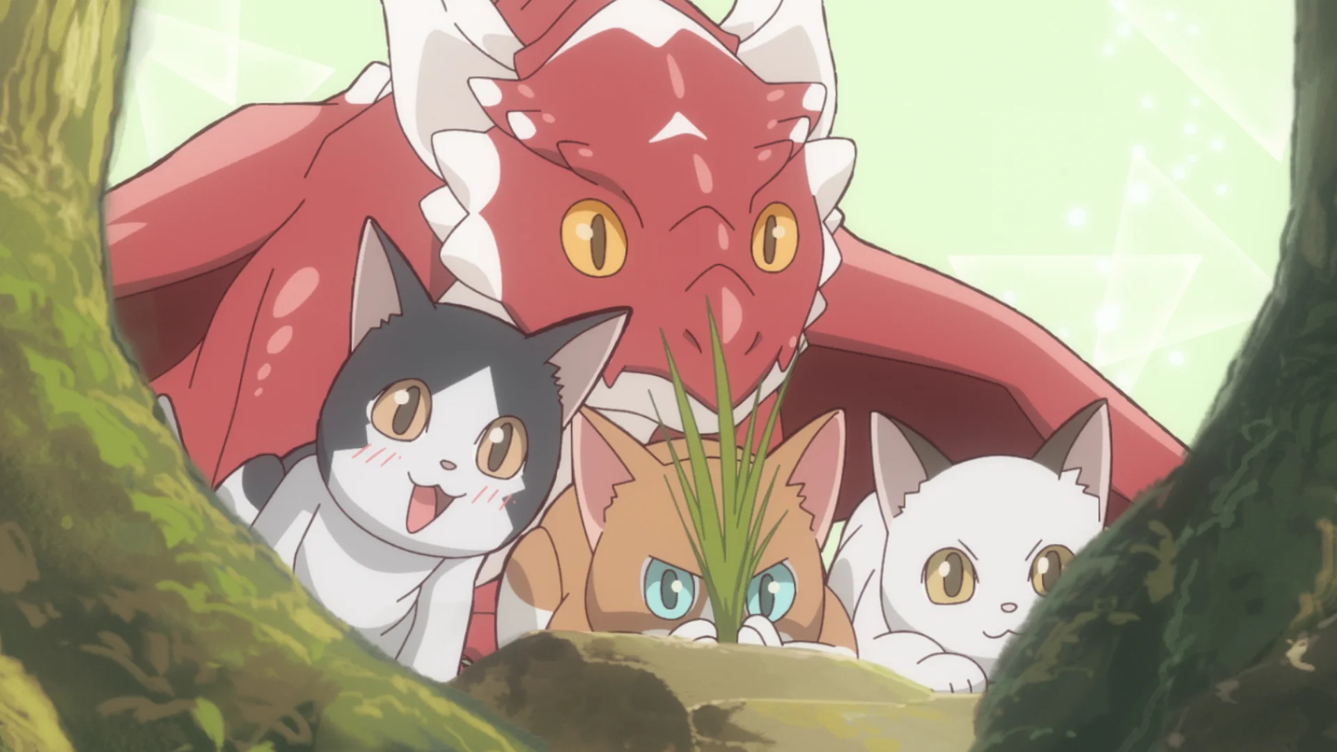 The Cat and the Dragon