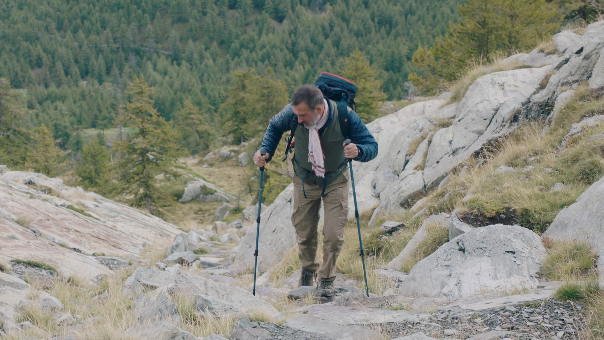 On the Wandering Paths