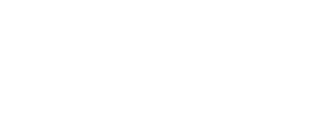 Never-Ending Summer logo