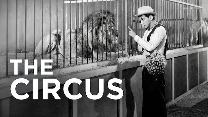 The Circus
