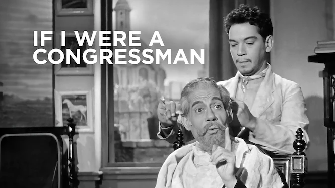 If I Were a Congressman